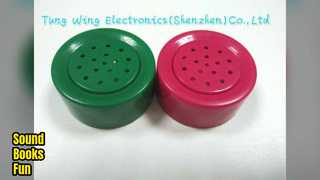 Giocattolo educativo per libri per bambini con modulo sonoro