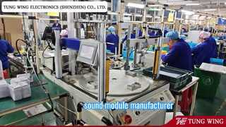 Produttore professionale di libri sonori